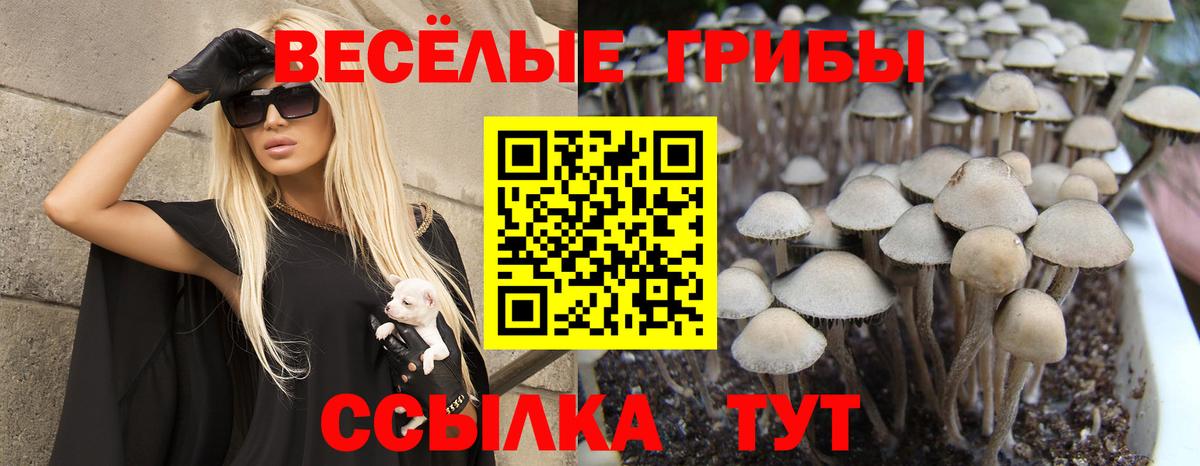 Галлюциногенные грибы ЛСД Еманжелинск