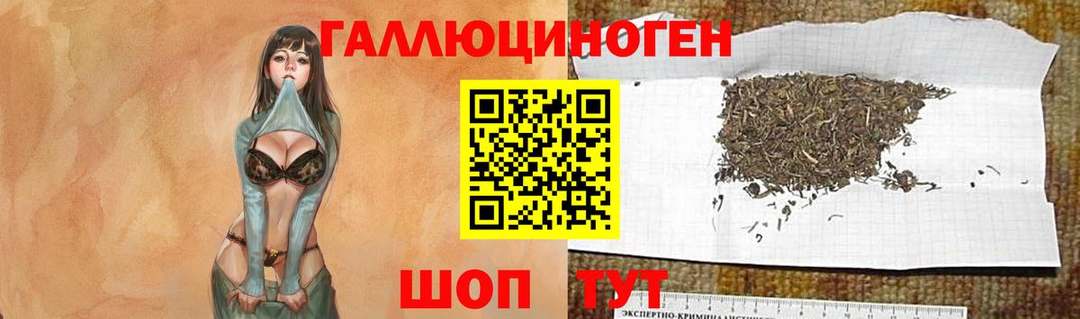 Галлюциногенные грибы Cubensis  Вход с VPN  Еманжелинск 